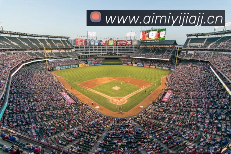 App Interface Preview